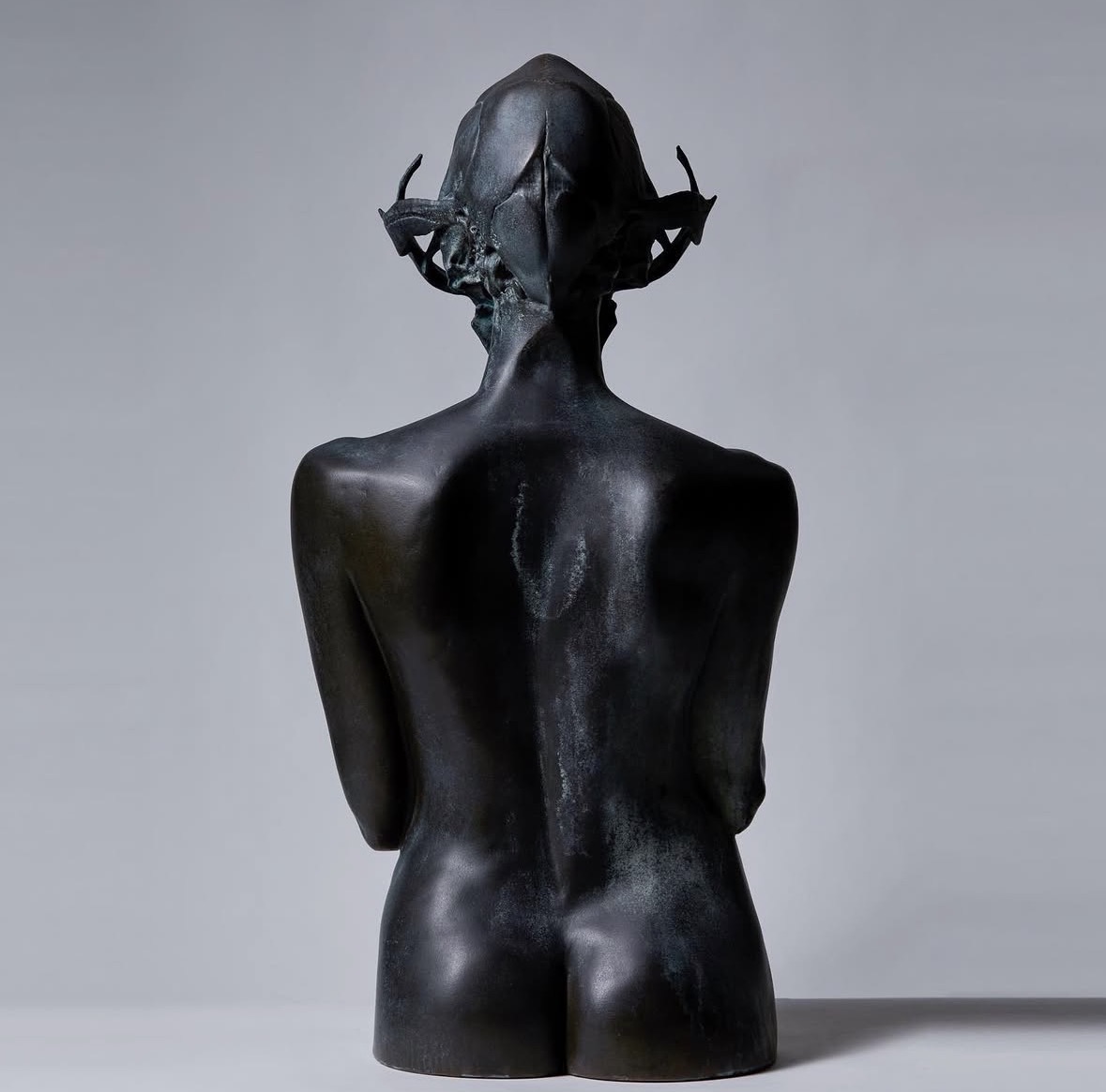 Illegal, back view