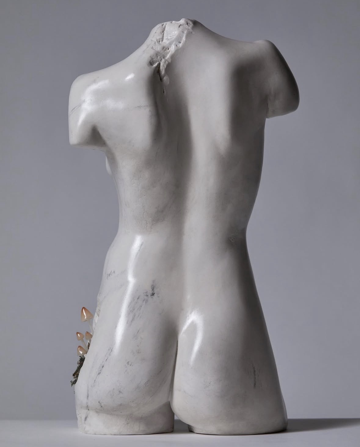 Journey, back view