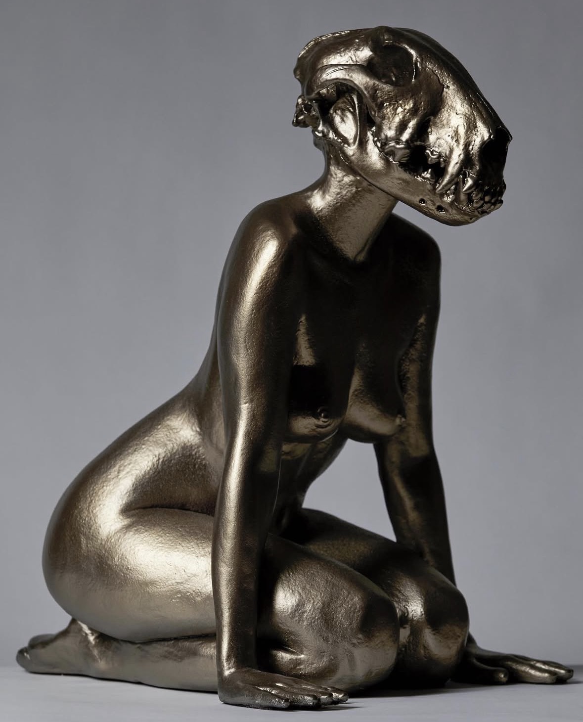 Man’s Best Friend, alternate three-quarter view