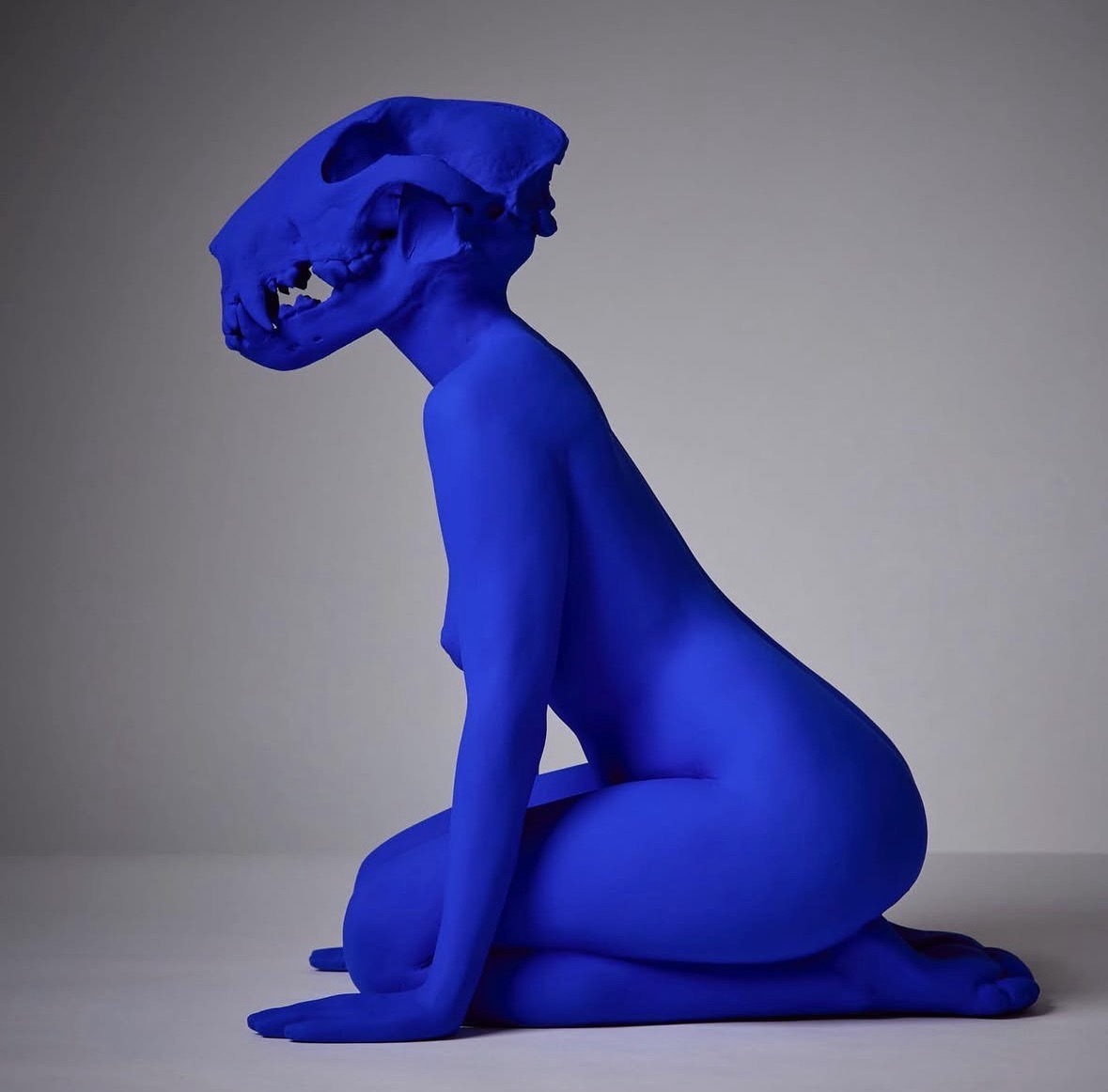 Man’s Best Friend in Yves Klein blue patina, left profile